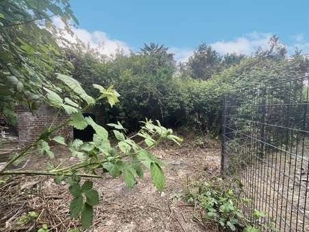 Blick in den Garten Blick in den Garten - Doppelhaushälfte in 47179 Duisburg mit 124m² kaufen