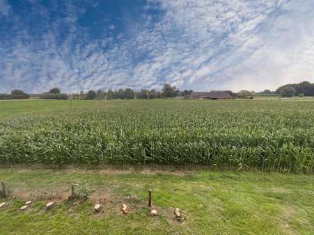 Ausblick Ausblick - Resthof in 46499 Hamminkeln mit 295m² kaufen