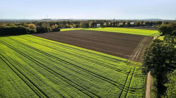 Angrenzendes Feld - Grundstück in 45896 Gelsenkirchen mit 480m² kaufen
