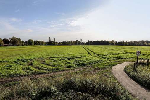 Angrenzendes Feld - Grundstück in 45896 Gelsenkirchen mit 480m² kaufen