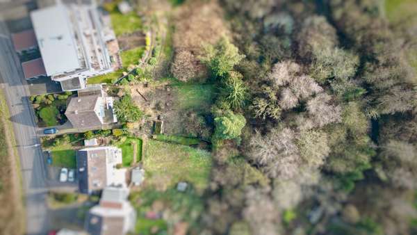 Grundstücksansicht Grundstücksansicht - Einfamilienhaus in 51381 Leverkusen mit 113m² kaufen