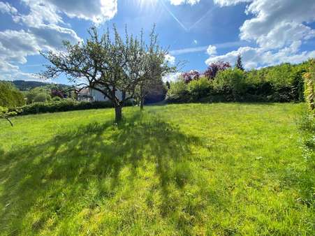 null - Grundstück in 51580 Reichshof mit 833m² kaufen