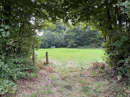 Grundstück Grundstück - Grundstück in 52156 Monschau- Höfen mit 2494m² kaufen