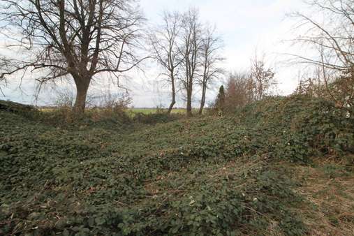 Baugrundstück  - Einfamilienhaus in 52445 Titz / Spiel mit 112m² kaufen