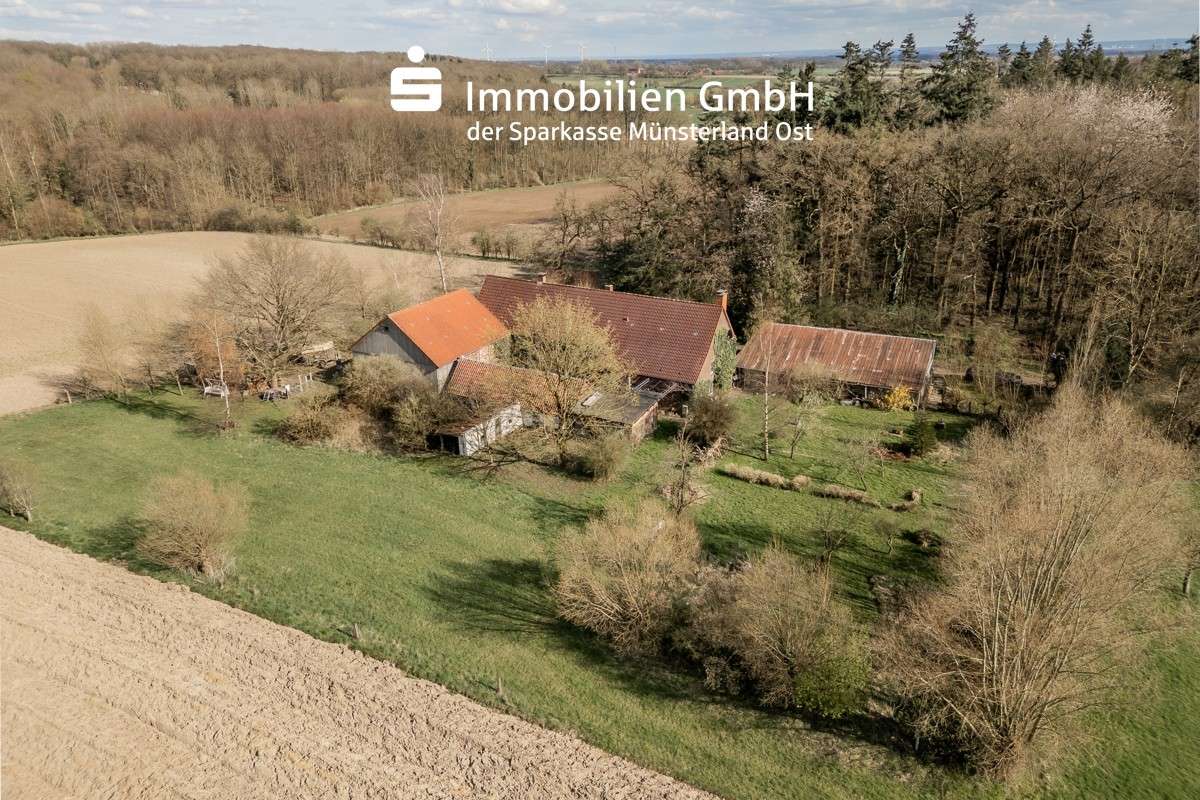 Vogelperspektive Vogelperspektive - in 59269 Beckum mit 319m² mieten