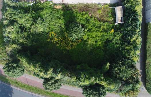 Luftbild vom Grundstück - Einfamilienhaus in 49525 Lengerich mit 131m² kaufen
