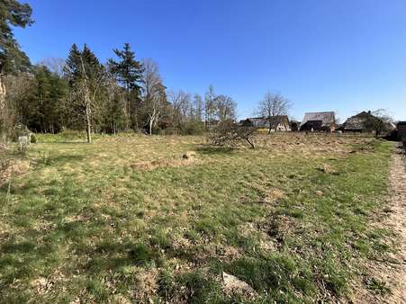 Grundstück - Grundstück in 48432 Rheine mit 1683m² kaufen