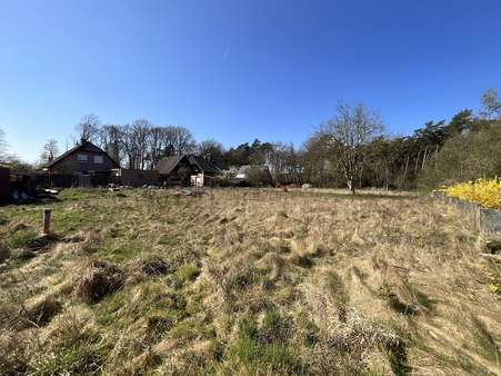 Grundstück - Grundstück in 48432 Rheine mit 1683m² kaufen