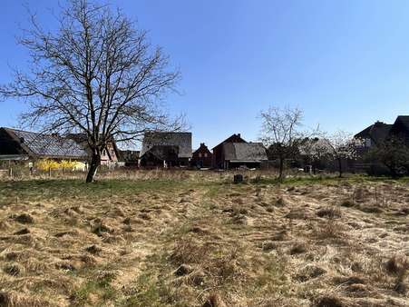 Grundstück - Grundstück in 48432 Rheine mit 1683m² kaufen