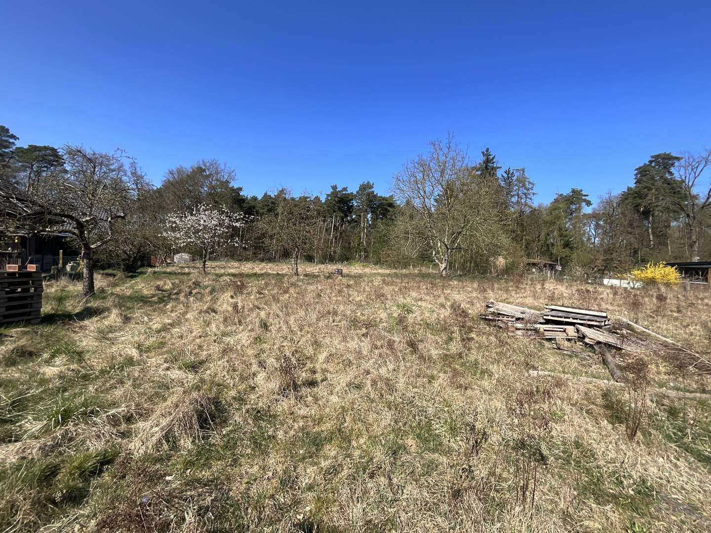 Grundstück - Grundstück in 48432 Rheine mit 1683m² kaufen