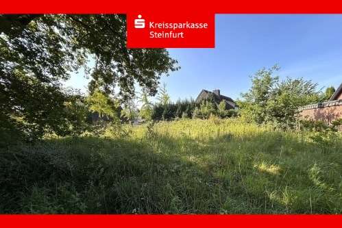 Nördliche Straßenansicht Nördliche Straßenansicht - Grundstück in 48282 Emsdetten mit 614m² kaufen