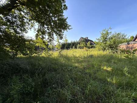 Nördliche Straßenansicht - Grundstück in 48282 Emsdetten mit 614m² kaufen