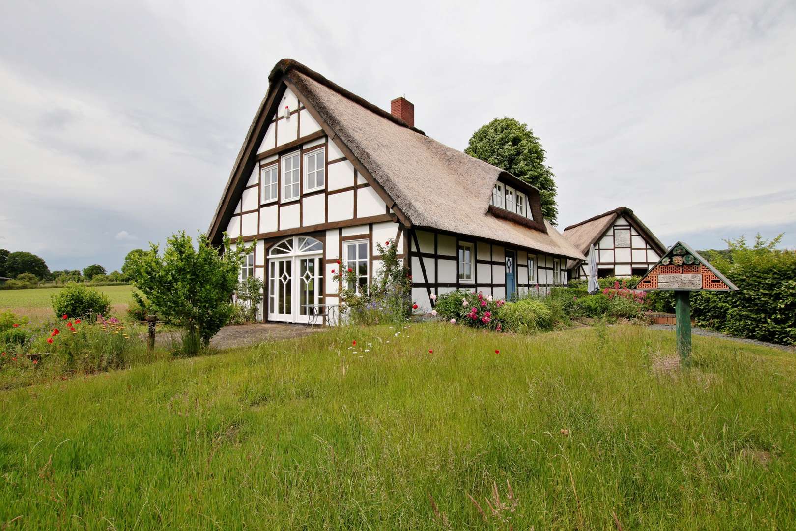 Gartenansicht     - Einfamilienhaus in 49545 Tecklenburg mit 200m² kaufen