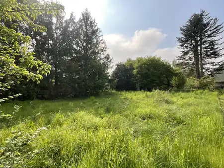 Verkauf gegen Gebot: Garten-/ Grünlandgrundstück in Lippstadt-Overhagen 