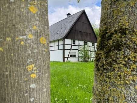 Weidenansicht - Resthof in 59505 Bad Sassendorf mit 170m² kaufen