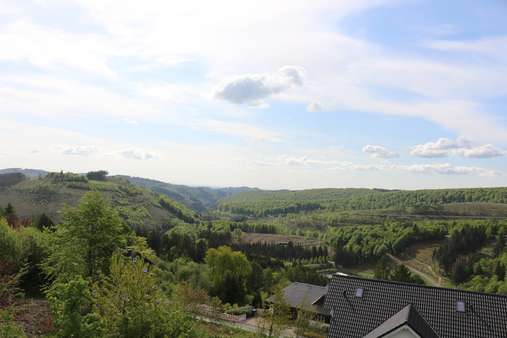 3058045n Ausblick vom Balkon 3058045n Ausblick vom Balkon - Etagenwohnung in 59955 Winterberg mit 74m² kaufen