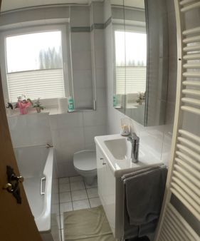 Gäste WC - Doppelhaushälfte in 45711 Datteln mit 180m² kaufen