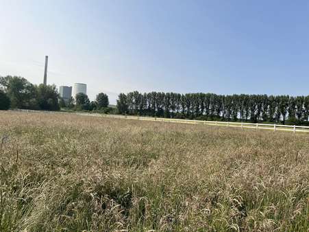 Blick in Wiesen und Felder Blick in Wiesen und Felder - Mehrfamilienhaus in 59368 Werne mit 230m² kaufen