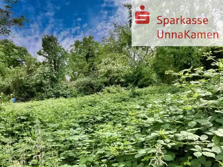 Schönes Baugrundstück für Ihren Wohntraum