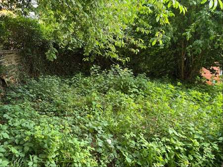 Garten - Mehrfamilienhaus in 58097 Hagen mit 431m² als Kapitalanlage kaufen