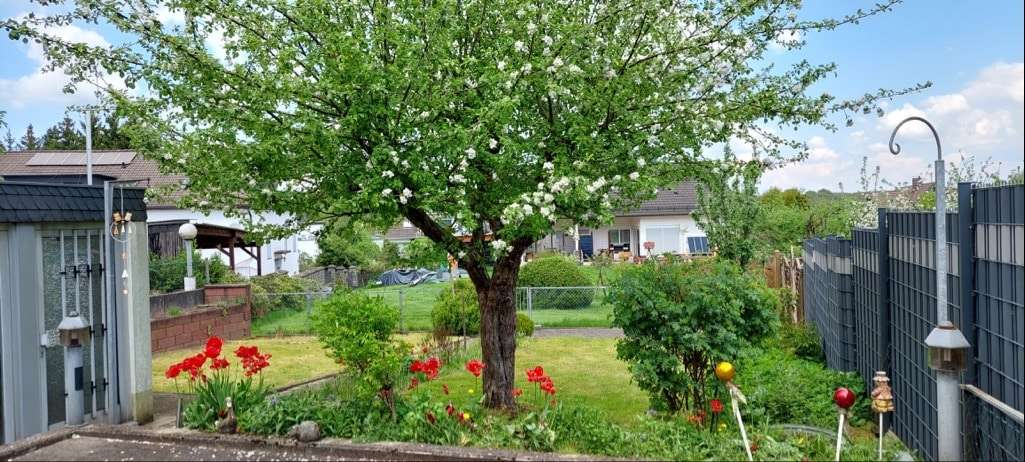 Garten im Frühling - Einfamilienhaus in 58507 Lüdenscheid mit 120m² kaufen