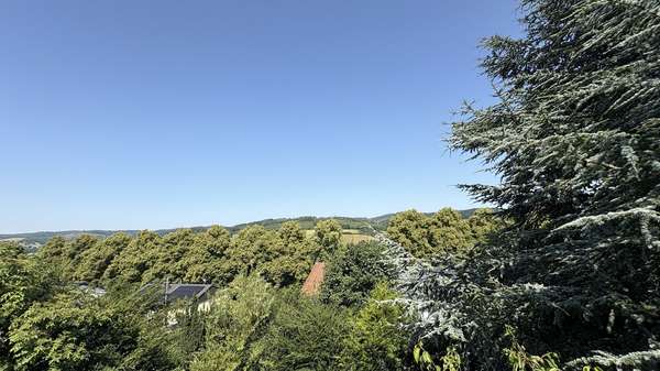 Blick vom Balkon Blick vom Balkon - Einfamilienhaus in 58802 Balve mit 132m² kaufen