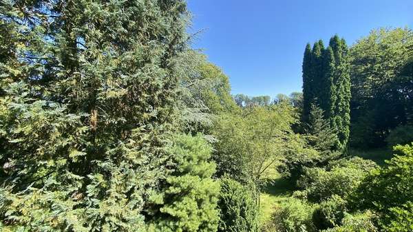 Blick in den Garten - Einfamilienhaus in 58802 Balve mit 159m² kaufen