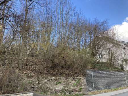 Straßenansicht - Grundstück in 57250 Netphen mit 621m² kaufen