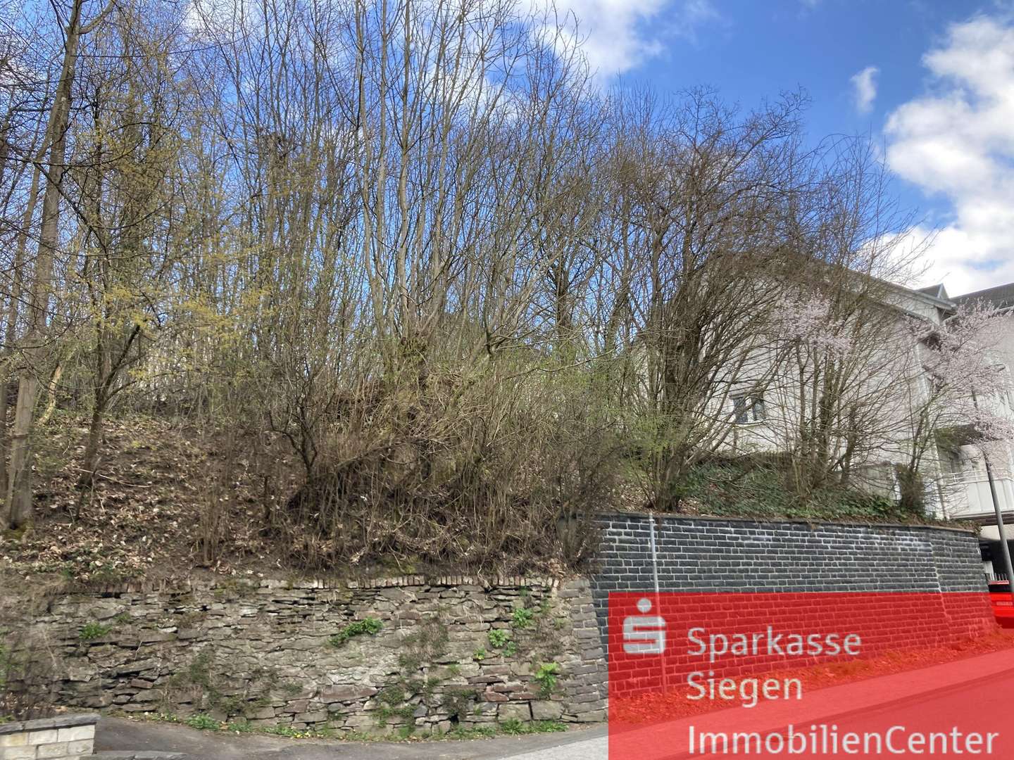 Straßenansicht - Grundstück in 57250 Netphen mit 621m² kaufen