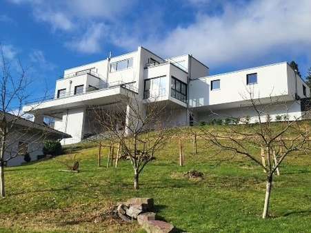 Ansicht - Einfamilienhaus in 57250 Netphen mit 279m² kaufen