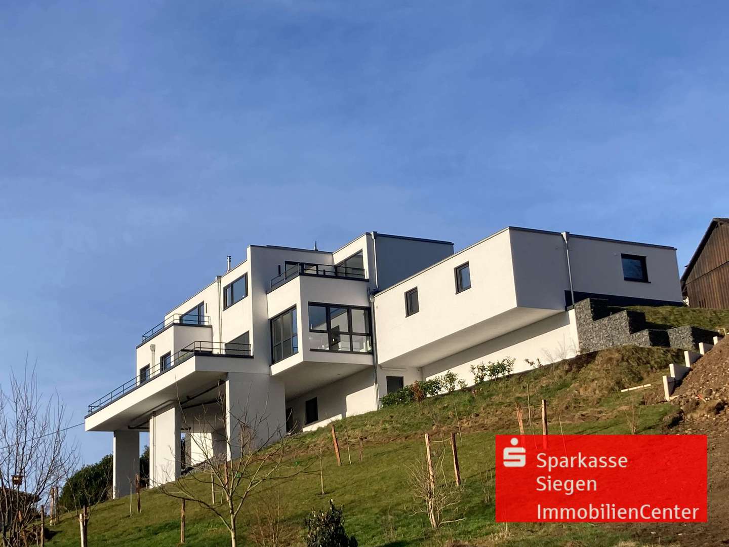 Ansicht - Einfamilienhaus in 57250 Netphen mit 279m² kaufen
