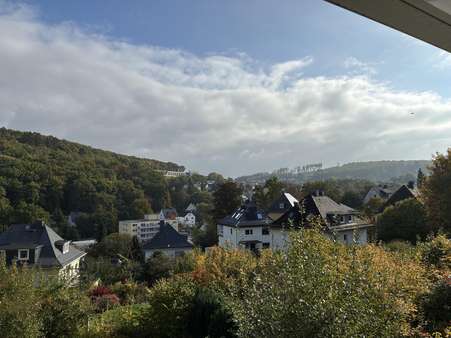 Aussicht Aussicht - Doppelhaushälfte in 57074 Siegen mit 118m² kaufen