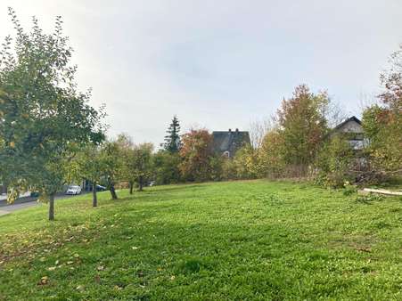 Baugrundstück - Grundstück in 57271 Hilchenbach mit 1161m² günstig kaufen