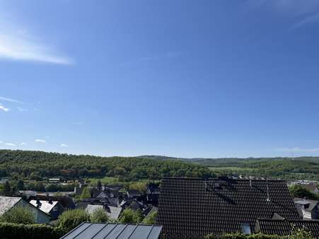 Aussicht aus dem Garten - Mehrfamilienhaus in 57290 Neunkirchen mit 347m² kaufen