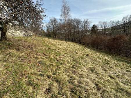 sonniges Grundstück - Einfamilienhaus in 57290 Neunkirchen mit 104m² kaufen