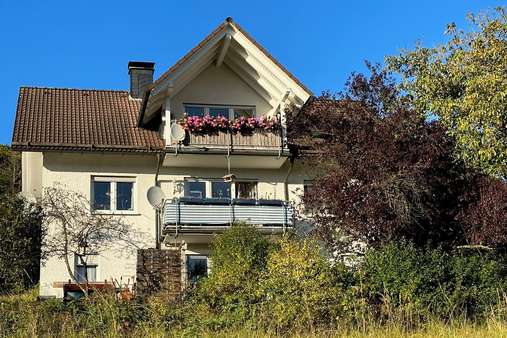 Außenansicht - Mehrfamilienhaus in 57334 Bad Laasphe mit 211m² kaufen
