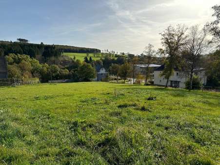 Ansicht des Grundstücks - Grundstück in 57339 Erndtebrück mit 2476m² kaufen