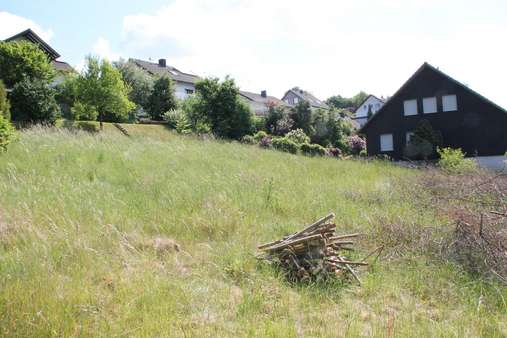 Außenansicht - Grundstück in 57319 Bad Berleburg mit 977m² kaufen