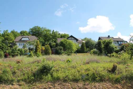 Straßenansicht - Grundstück in 57319 Bad Berleburg mit 977m² kaufen