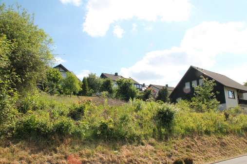 Straßenansicht - Grundstück in 57319 Bad Berleburg mit 977m² kaufen