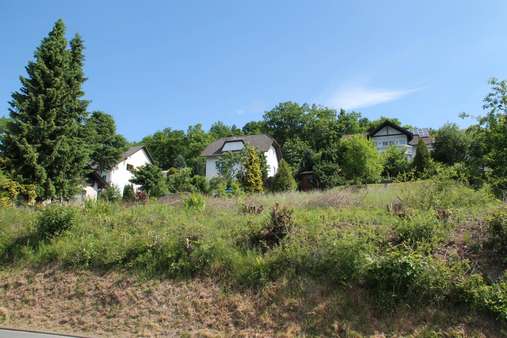 Straßenansicht - Grundstück in 57319 Bad Berleburg mit 977m² kaufen