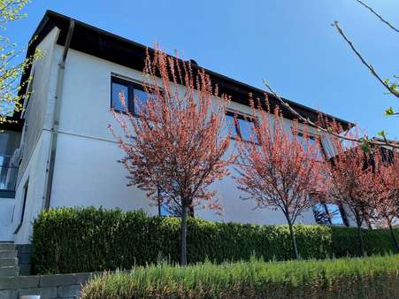 Ansicht aus dem Garten - Einfamilienhaus in 57319 Bad Berleburg mit 217m² kaufen