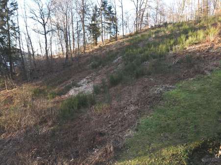 Seitenansicht - Grundstück in 57489 Drolshagen mit 2048m² kaufen