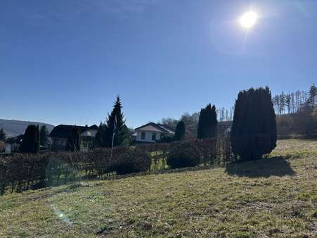 Gesamtansicht - Grundstück in 32676 Lügde mit 849m² kaufen
