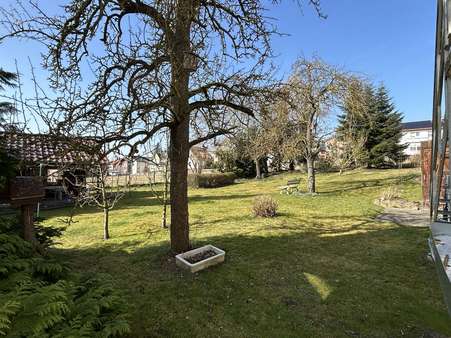 Garten - Einfamilienhaus in 34414 Warburg / Menne mit 260m² kaufen