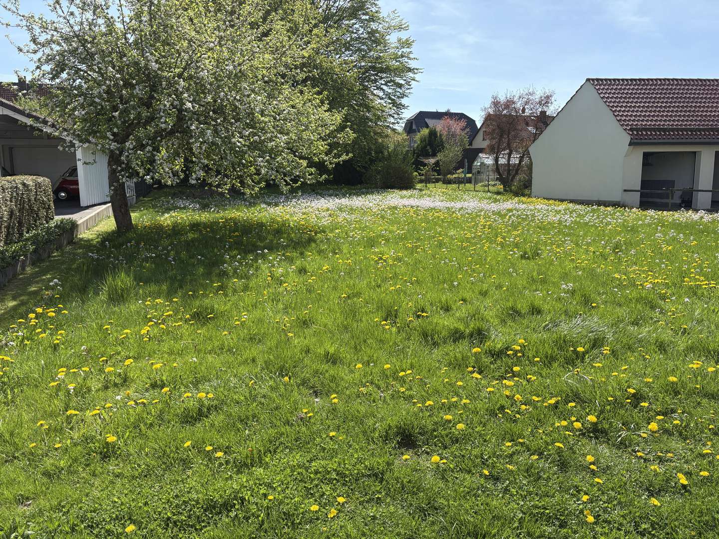 Außenansicht - Grundstück in 32805 Horn-Bad Meinberg mit 816m² kaufen