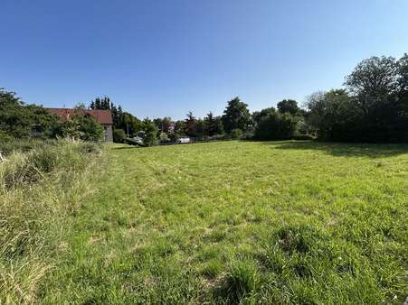 Ansicht - Grundstück in 32805 Horn-Bad Meinberg mit 699m² kaufen