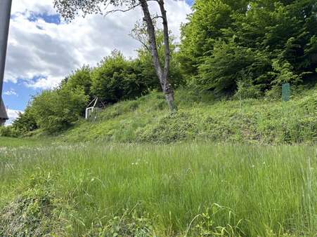 Seitenansicht - Grundstück in 32760 Detmold / Berlebeck mit 678m² kaufen