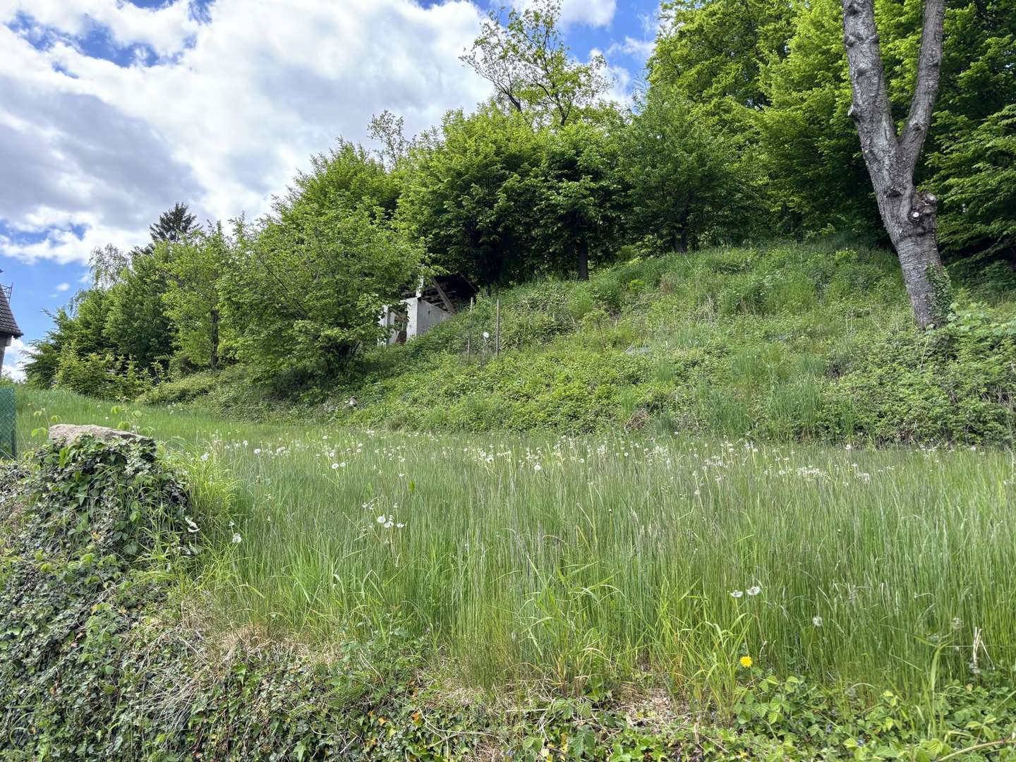 Exposéfoto - Grundstück in 32760 Detmold / Berlebeck mit 678m² kaufen