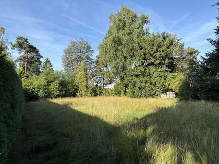 Blickrichtung Süden - Grundstück in 32760 Detmold / Hiddesen mit 814m² kaufen